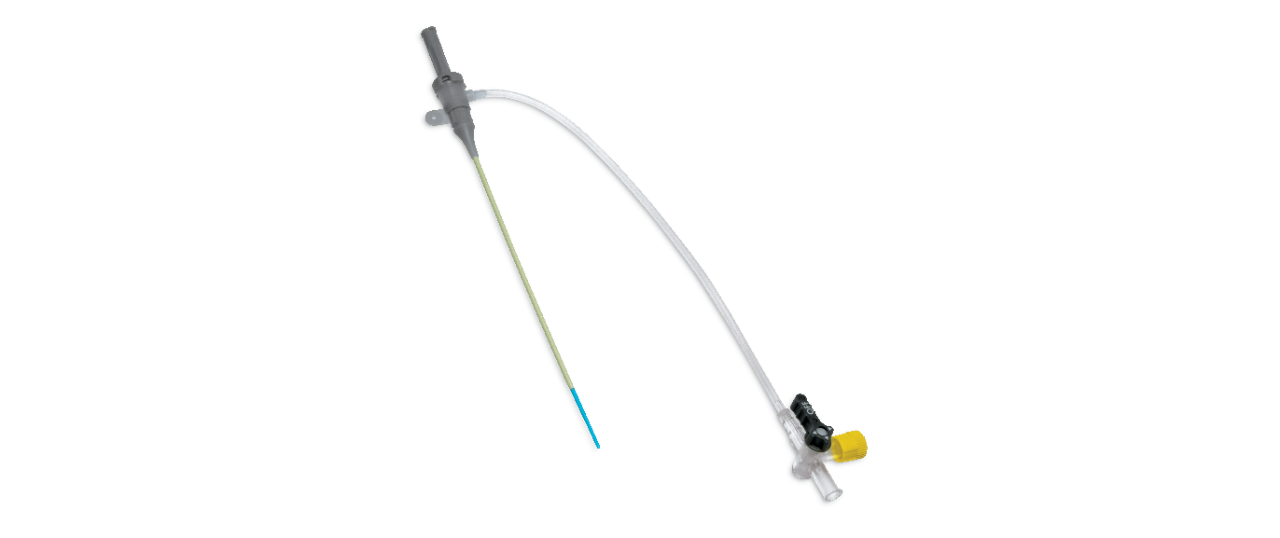Product image: PINNACLE Introducer Sheath for femoral access