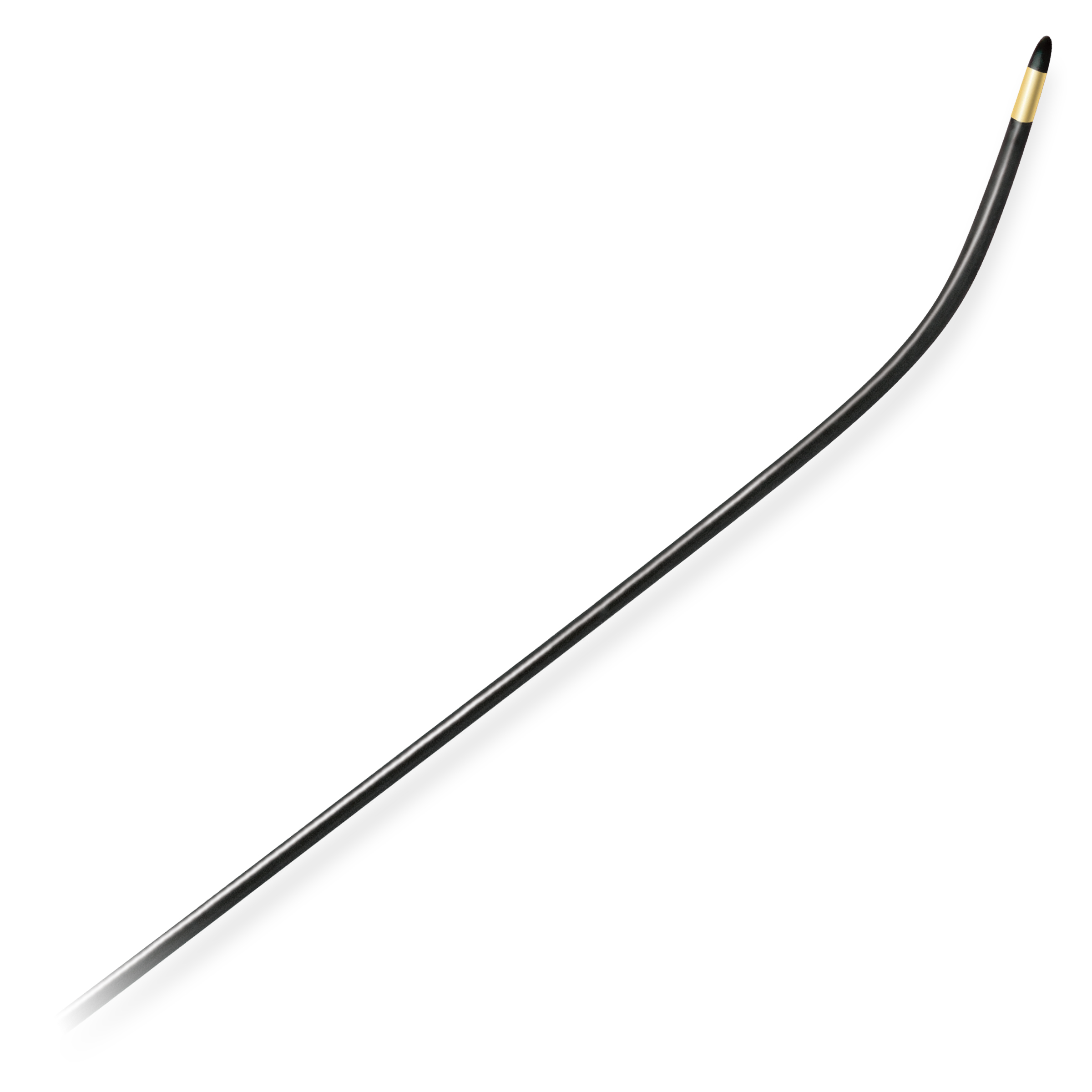 GLIDEWIRE® Gold Hydrophilic Coated Guidewire