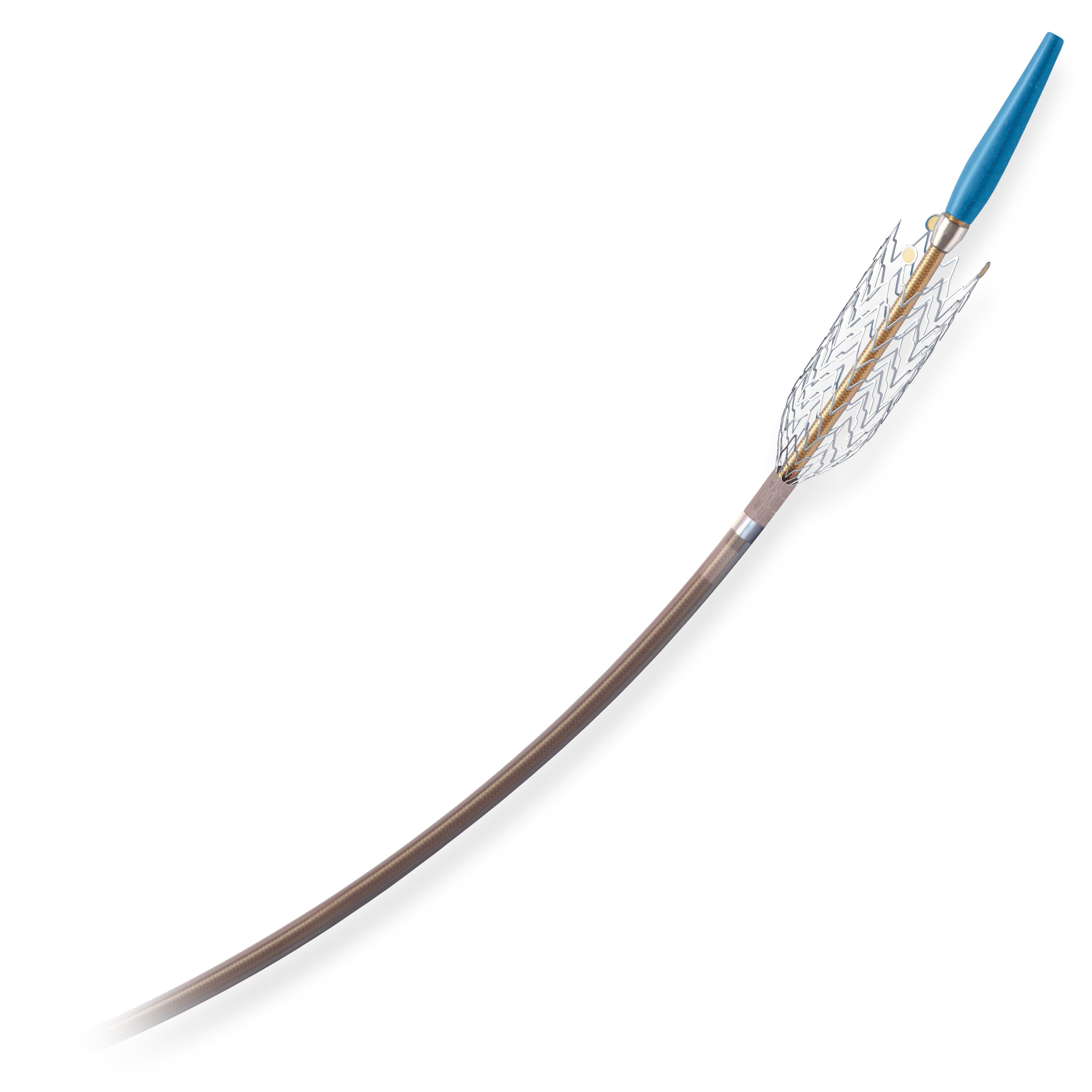 R2P® MISAGO® RX Self-expanding Peripheral Stent