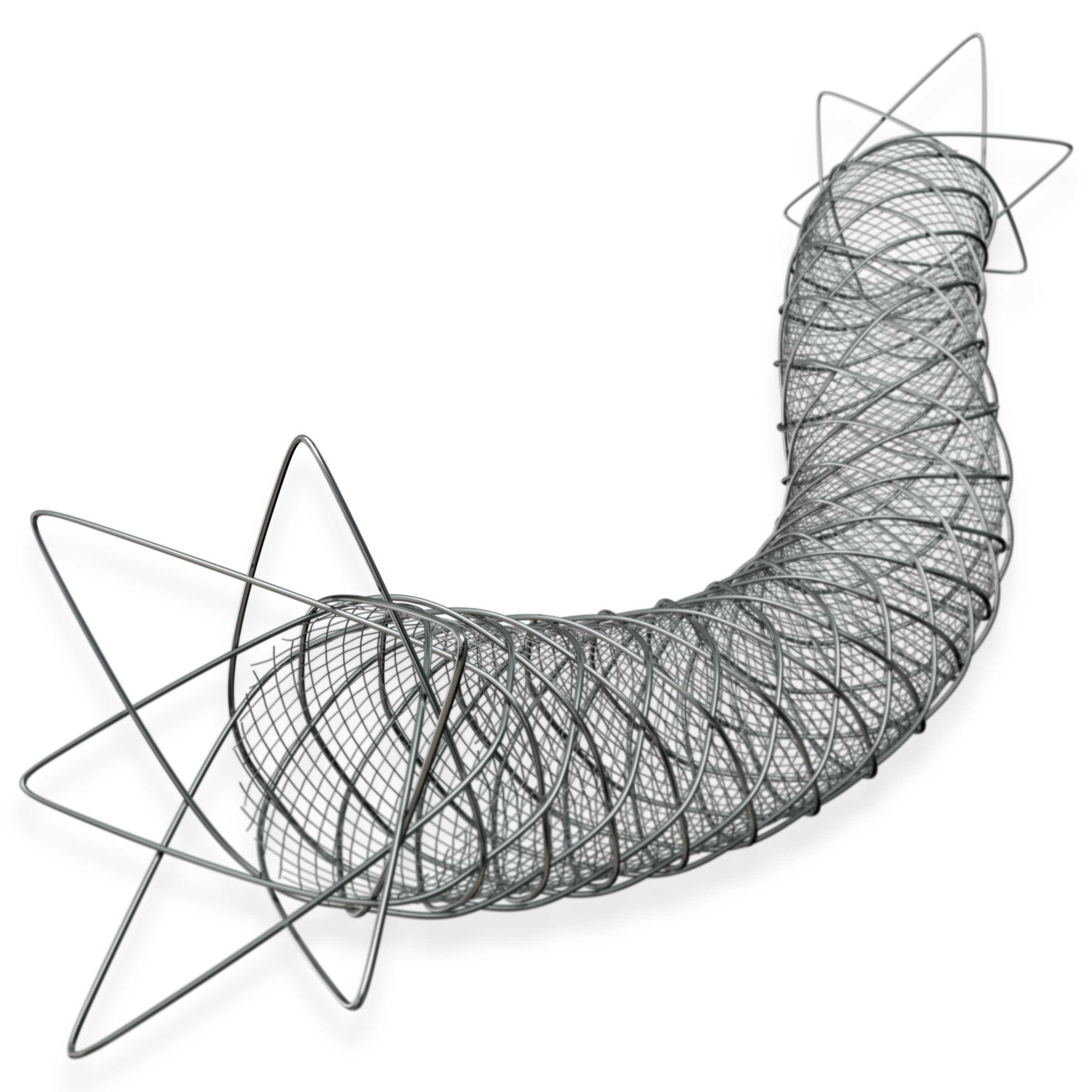ROADSAVER™ Carotid Stent System
