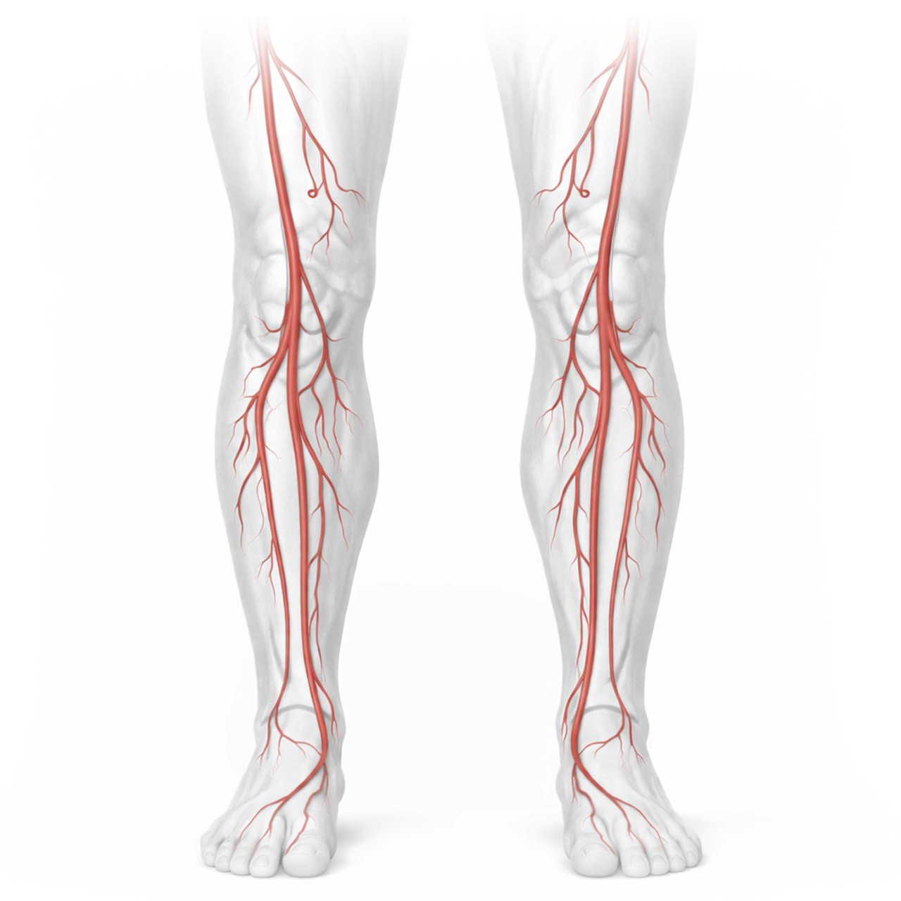 Peripheral Training and Education
