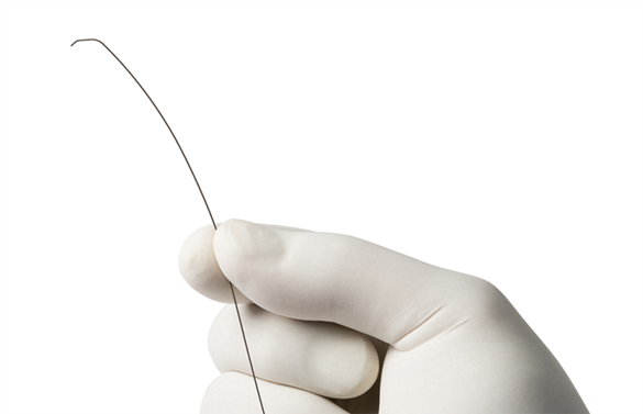 View GLIDEWIRE® GT Guidewire Photo of GLIDEWIRE® GT Guidewire