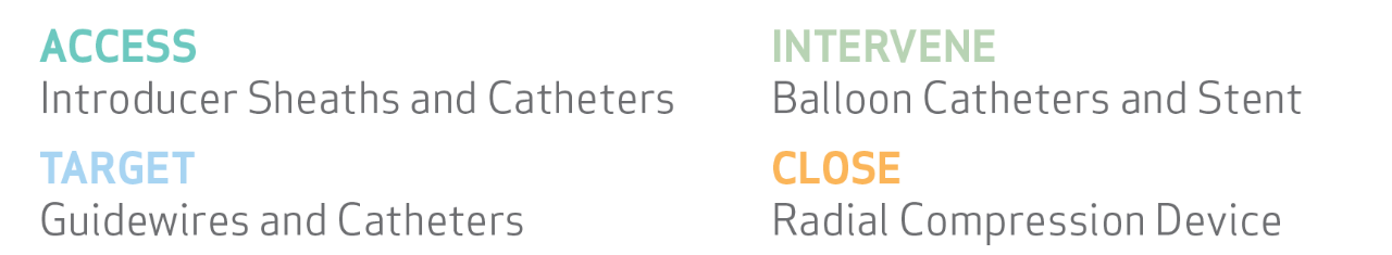 Access: introducer sheaths and  catheters, Intervene: Balloon  catheters and stent, Target:  guidewires and catheters, Close:  radial compression device