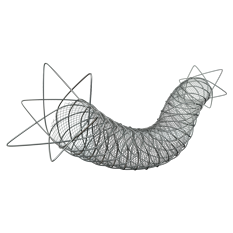 ROADSAVER™ Carotid Stent System